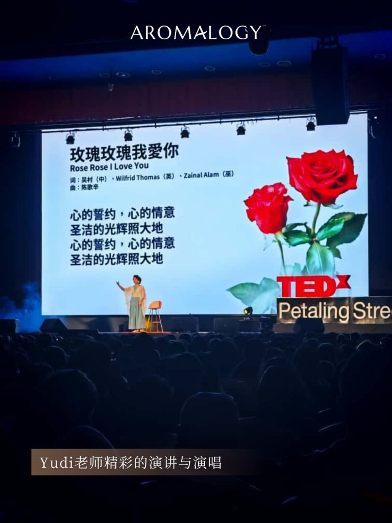 乘风破浪 3