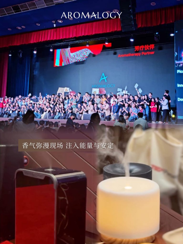 乘风破浪 4